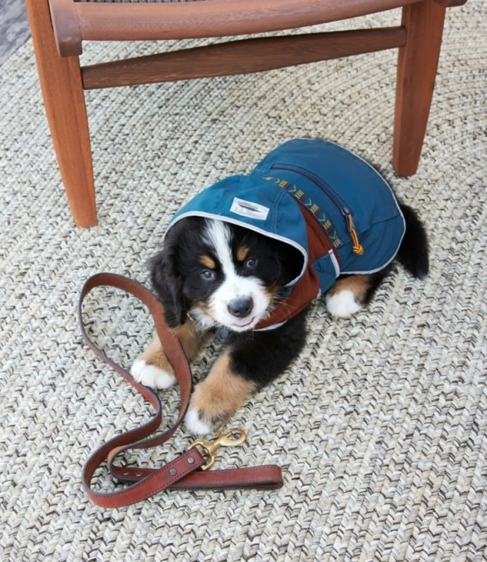 Best Sale L.L.Bean "Mountain Classic Dog Anorak, Colorblock" DarkMarinerBlue