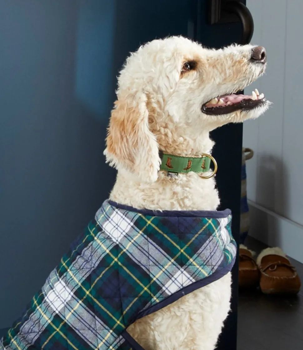 Store L.L.Bean "Novelty Dog Collar"